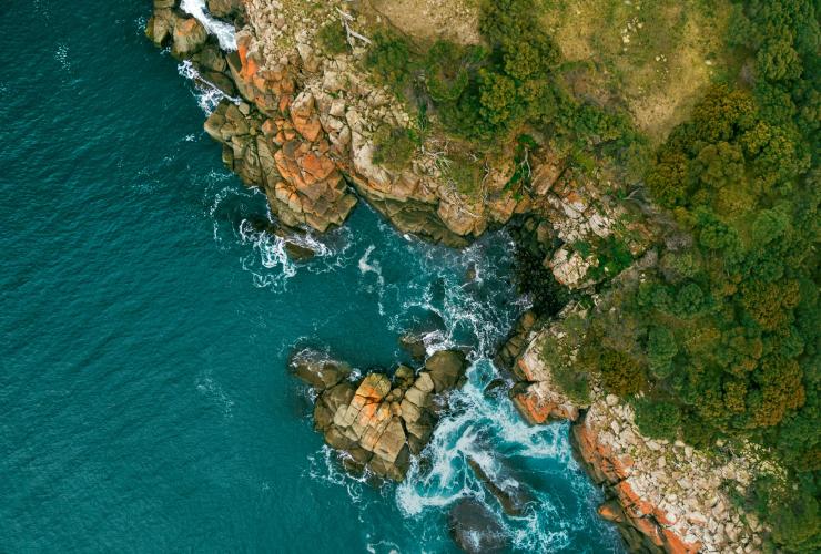Aerial view of the Bruny Island coastline, with orange lichen-covered rocks, blue water and lush greenery in Tasmania © Georges Antoni