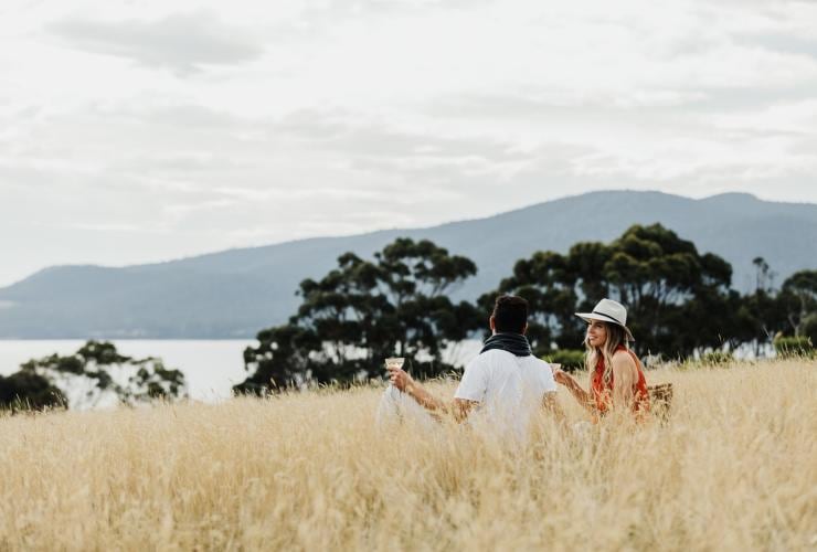 Man and woman having a picnic in the grass while looking at the ocean between trees and holding glasses of wine on Satellite Island, Tasmania © Adam Gibson