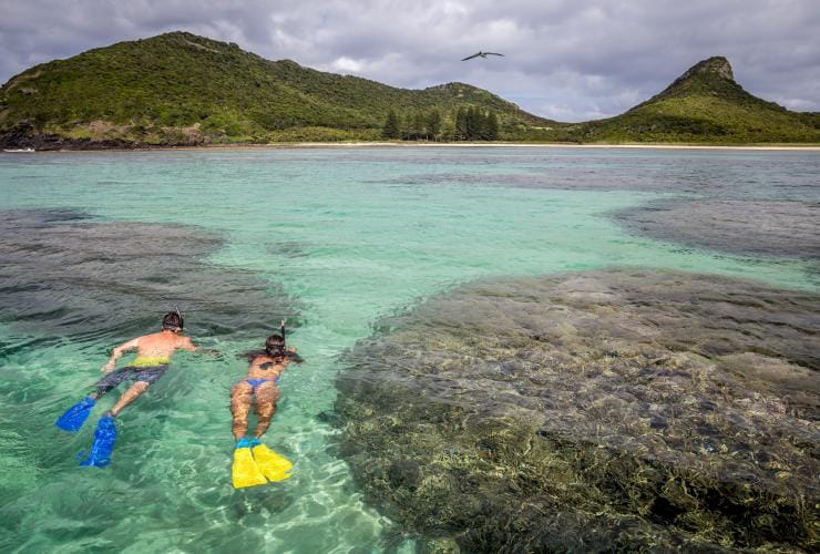 Snorkelling on Lord Howe Island, NSW © Luke Hanson
