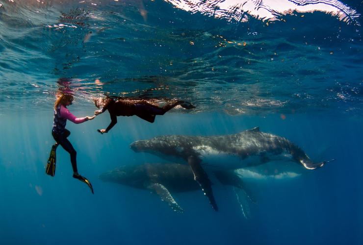 Live Ningaloo, WA © Live Ningaloo/Chris Jansen
