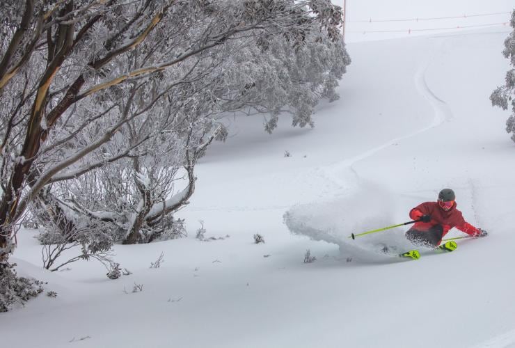 Mount Hotham, VIC © Karl Gray Media