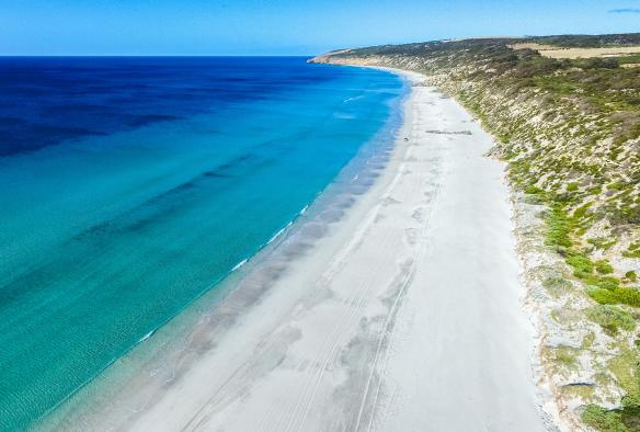 Ảnh chụp từ trên cao xuống bãi biển cát trắng trải dài, làn nước biển xanh biếc bên những đồi cỏ ở Vịnh Emu, Đảo Kangaroo, Tiểu bang Nam Úc © South Australian Tourism Commission