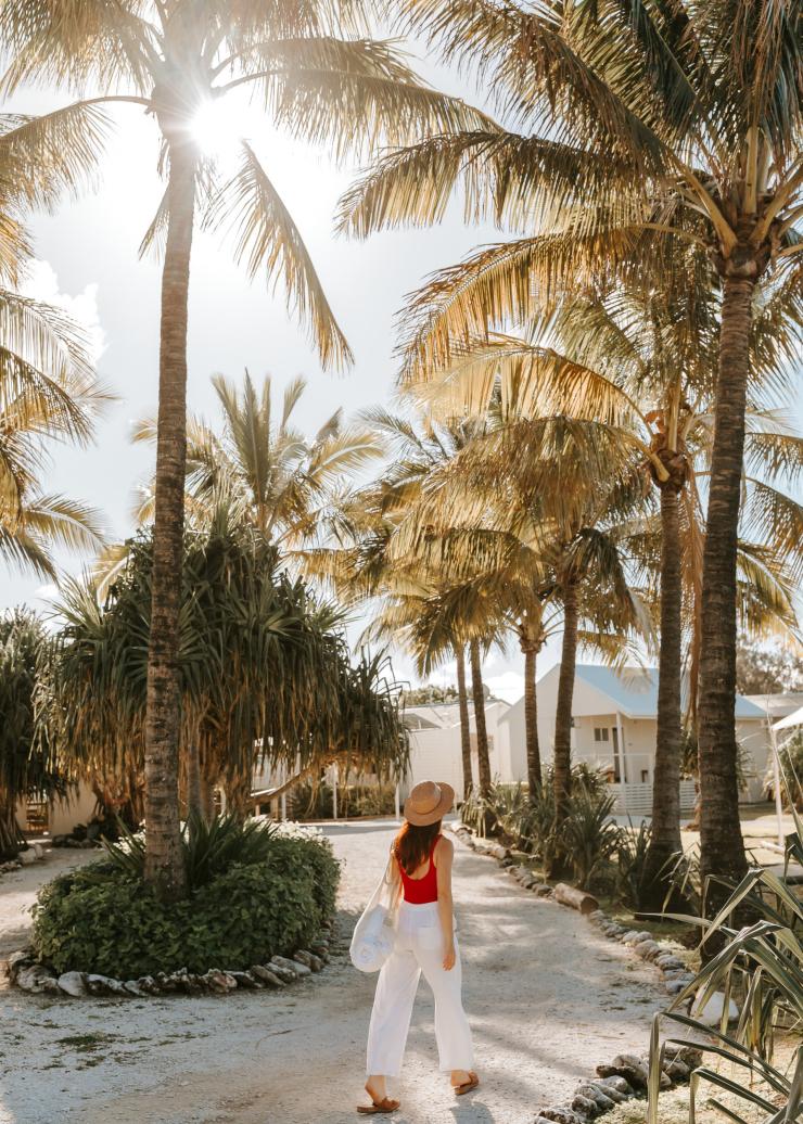 Một người phụ nữ đội mũ rộng vành đang thả bước trên con đường đầy cát phía dưới hàng cọ tại Lady Elliot Island Eco Resort, Rạn san hô Great Barrier, Queensland © Tourism and Events Queensland