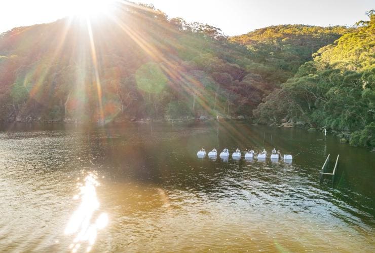 Aerial view of couples standing at small tables in the water with Sydney Oyster Farm Tours, Mooney Mooney, New South Wales © Tourism Australia