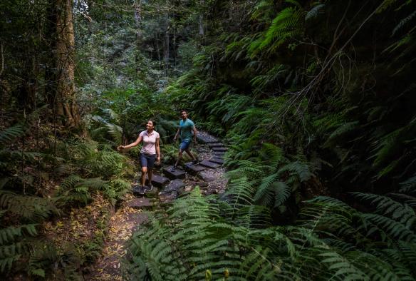 Two people walking among the trees, ferns and plants of the Grand Canyon Walking Track, Blue Mountains, New South Wales © Destination NSW