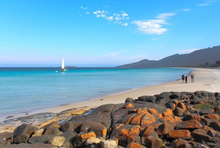 A small group of people on a guided hike along a calm beach with Freycinet Adventures, Wineglass Bay, Tasmania © Tourism Tasmania/Kathryn Leahy