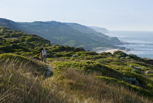 Cung đường đi bộ Great Ocean Walk, Tiểu bang Victoria © Mark Watson