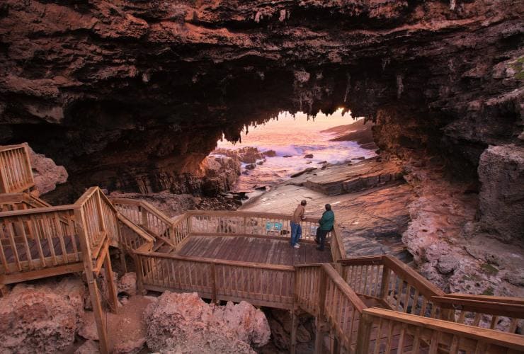 Admirals Arch, Kangaroo Island, SA © Shane Reid
