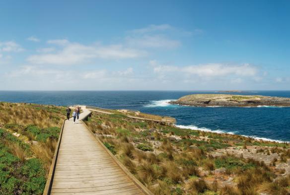 Mũi Cape du Couedic, Vườn quốc gia Flinders Chase, Đảo Kangaroo, Tiểu bang Nam Úc © Adam Bruzzone