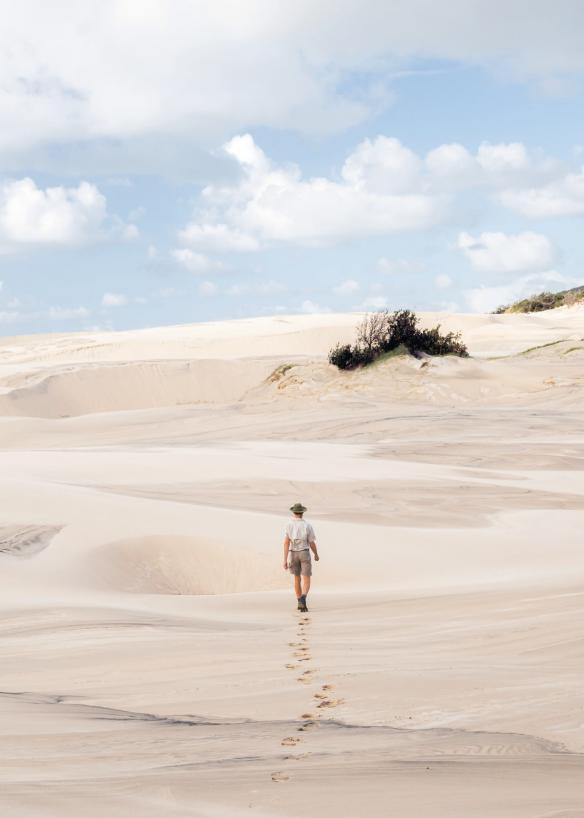 Cồn cát Tookee, K’gari, Tiểu bang Queensland © Tourism and Events Queensland