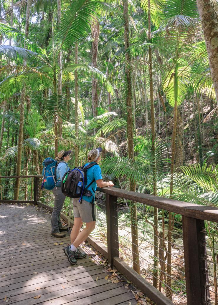 Central Station, K'gari, QLD © Tourism and Events Queensland