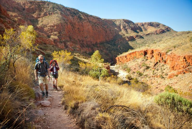 Larapinta Trail, Tjoritja/West MacDonnell National Park, NT © Tourism NT/Paddy Pallin