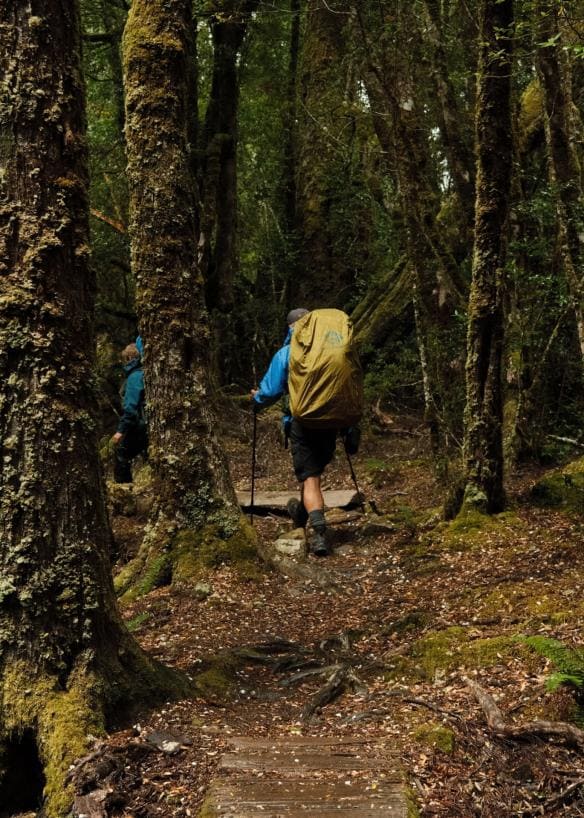 Cung đường Overland Track, Vườn quốc gia Núi Cradle – Hồ St Clair, Tiểu bang Tasmania © Blake Lisk - Pillar Creative