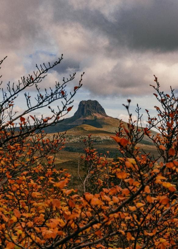 Cung đường Overland Track, Núi Barn Bluff, Vườn quốc gia Núi Cradle – Hồ St Clair, Tiểu bang Tasmania © Matty Eaton