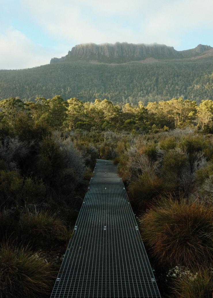 Mt Olympus, Overland Track, Cradle Mountain-Lake St Clair National Park, TAS © Blake Lisk - Pillar Creative