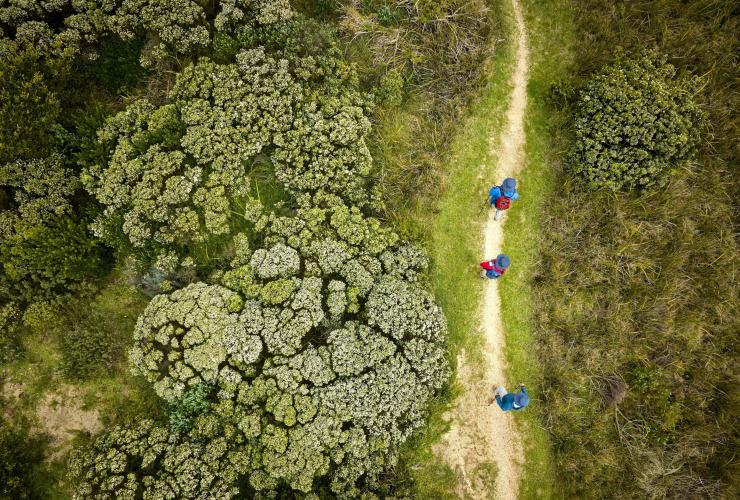 Great Ocean Walk, Great Ocean Road, Victoria © Tourism Australia