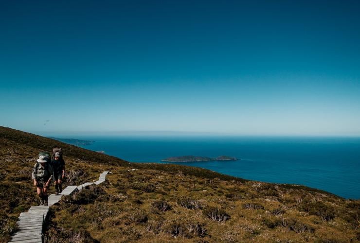 South Coast Track, Southwest National Park, Tasmania © Matty Eaton