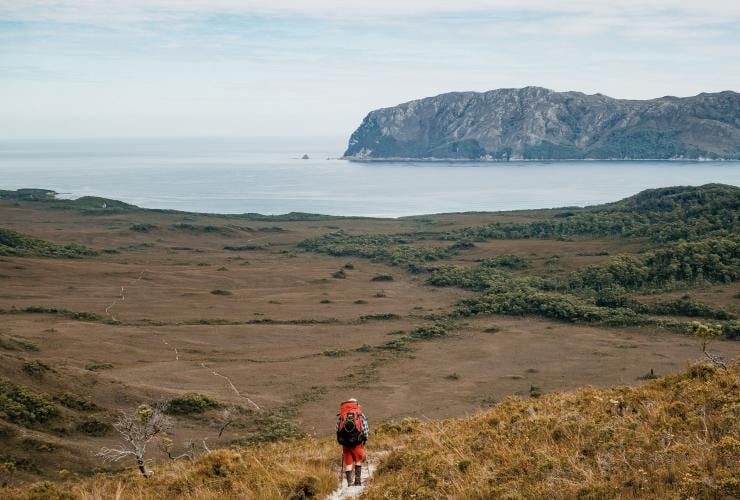 South Coast Track, Southwest National Park, Tasmania © Matty Eaton