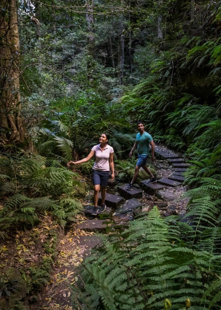 Grand Canyon Walking Track, Blue Mountains, New South Wales © Destination NSW