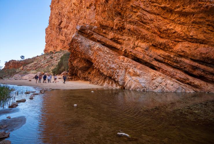 World Expeditions, Classic Larapinta Trek in Comfort, West MacDonnell Ranges, NT © Tourism Australia 