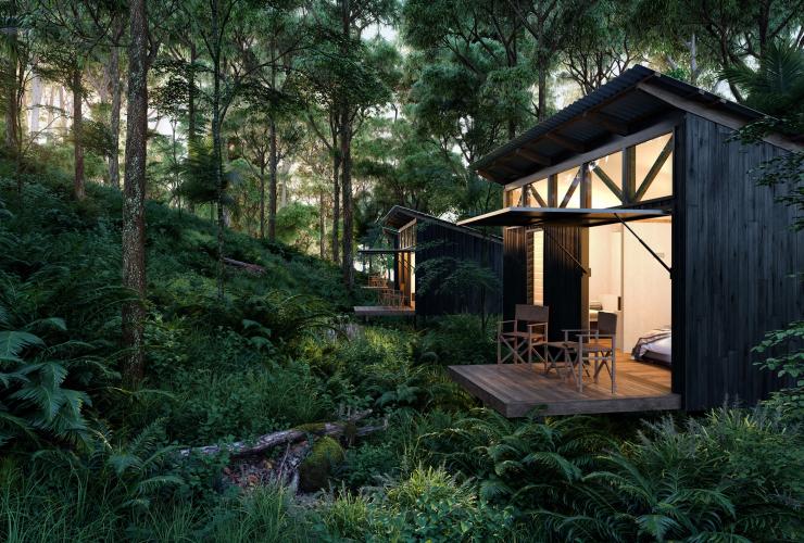 Scenic Rim Trail, Scenic Rim, QLD © Scenic Rim Trail