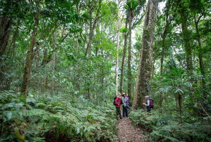 Spicers Scenic Rim Trail, Scenic Rim, QLD © Spicers Retreats