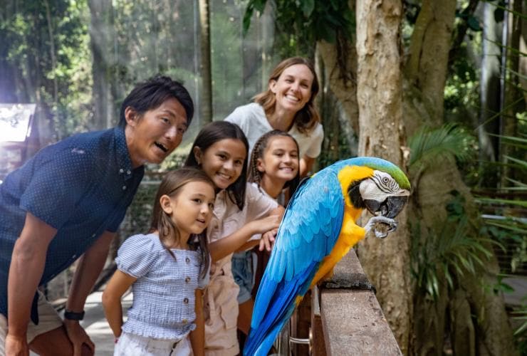 A family admiring a colourful bird at Currumbin Wildlife Sanctuary, Gold Coast, Queensland © Tourism Australia