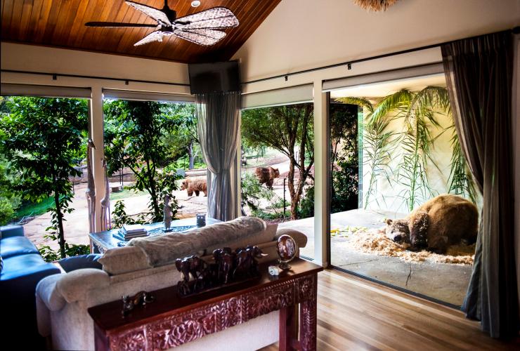 Interior of accommodation at Jamala Wildlife Lodge with large windows opening to a bear enclosure at the National Zoo and Aquarium, Canberra, Australian Capital Territory © Jamala Wildlife Lodge