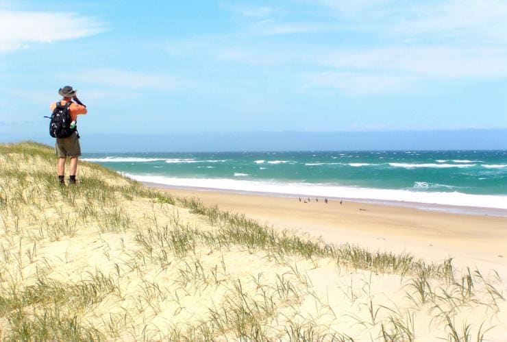 A person standing on a beach using binoculars to look at a nearby flock of birds during a tour with Echidna Walkabout Tours, Great Ocean Road, Victoria © Echidna Walkabout Tours/Visit Victoria