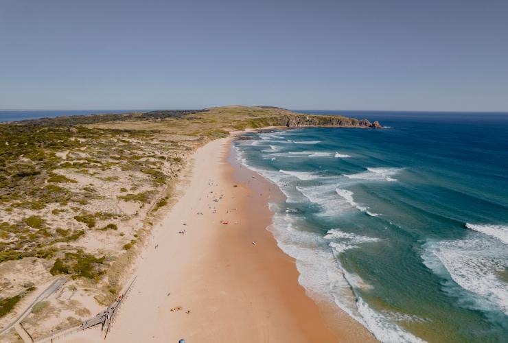 Aerial view over a headland with a golden beach at Cape Woolamai, Phillip Island, Victoria © Neisha Breen