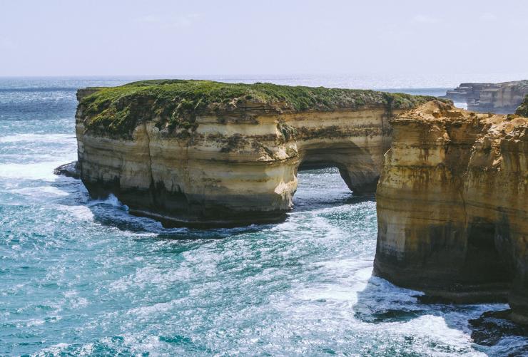 A large sandstone pillar covered in bushes standing in the ocean, Mutton Bird Island, Great Ocean Road, Victoria © Roberto Seba