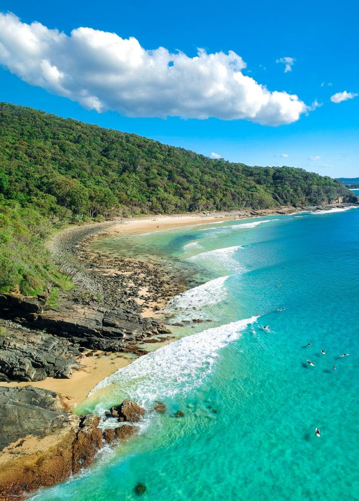 People surfing in clear turquoise water near a rocky headland covered with dense bushland in Noosa National Park, Noosa, Queensland © Tourism Australia