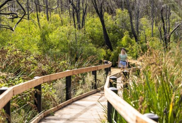 A woman walking along a wooden boardwalk through bushland in Yanchep National Park, Coral Coast, Western Australia © Tourism Australia