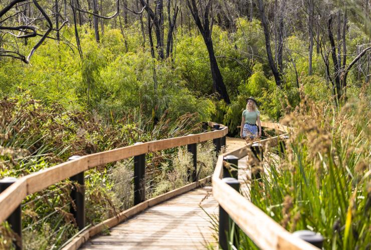 A woman walking along a wooden boardwalk through bushland in Yanchep National Park, Coral Coast, Western Australia © Tourism Australia