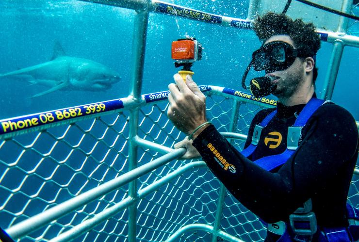 Shark Diving, Calypso Dive Charters, Neptune Islands, SA © Tourism Australia