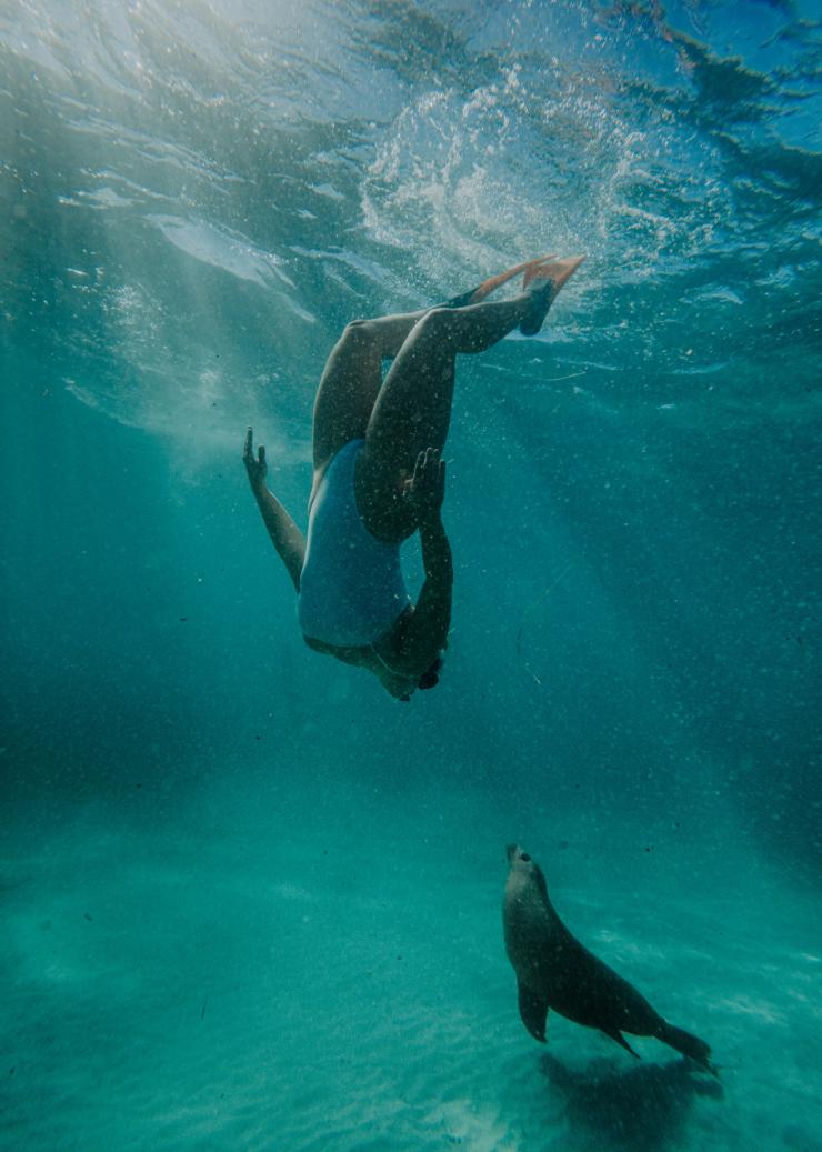Calypso Star Charters, Eyre Peninsula, SA © Jaxon Foale