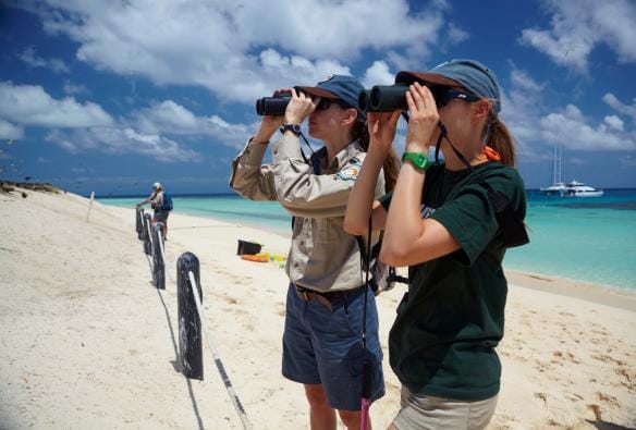 Hai người đang ngắm chim bằng ống nhòm trên một cồn cát, Michaelmas Cay, Rạn san hô Great Barrier, Tiểu bang Queensland © Tourism Australia