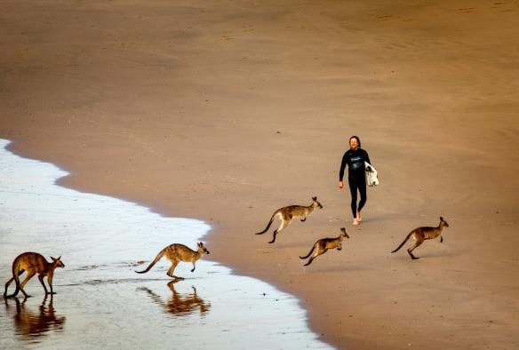 Bãi biển Emerald, Coffs Coast, Bờ biển North Coast NSW © ST Surf Images