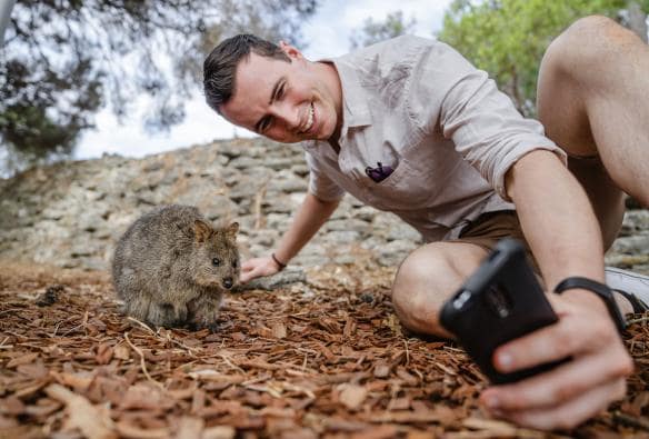 A young man snaps a selfie with a quokka on Rottnest Island, Western Australia © Tourism Australia 