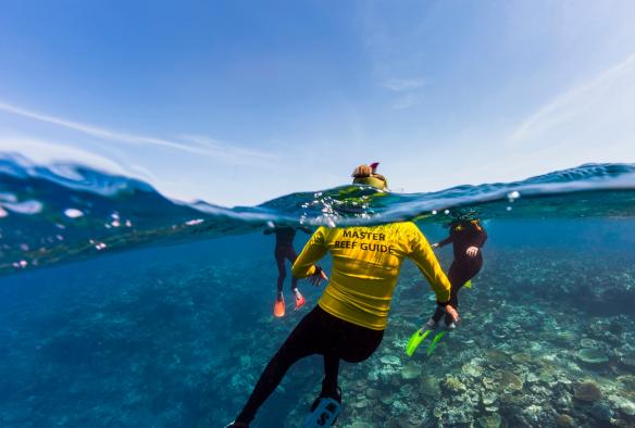 A Master Reef Guide snorkels through the water during coral spawning on Moore Reef, Great Barrier Reef, Queensland © Tourism and Events Queensland 