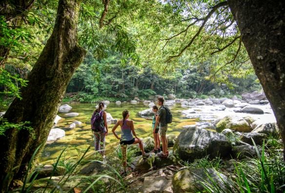 A group of people standing beside a rainforest waterhole with FNQ Nature Tours, Daintree Rainforest, Queensland © FNQ Nature Tours/James Boettcher
