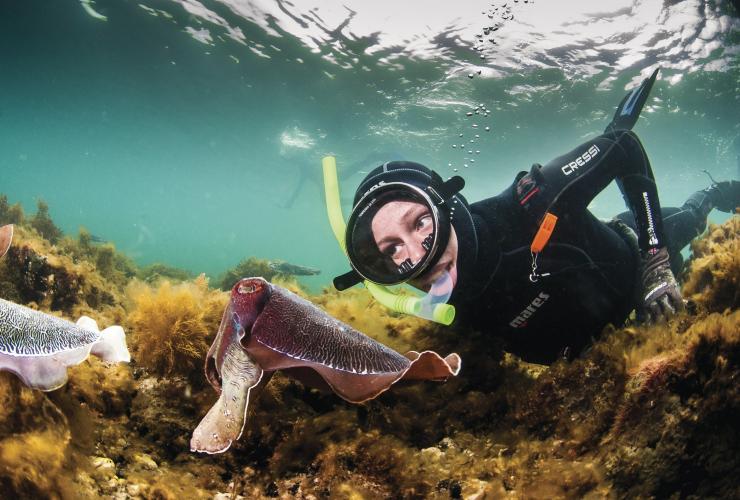 Stony Point, Whyalla, SA © Carl Charter