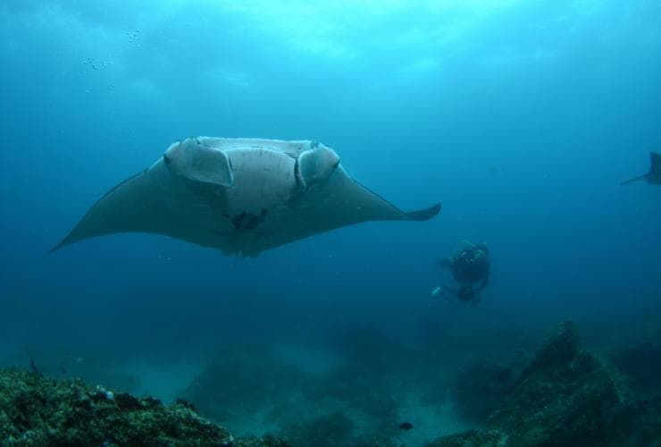 Manta Bommie, North Stradbroke Island, QLD © Nigel Marsh/Tourism and Events Queensland