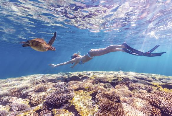 Lặn ống thở, Rạn san hô Ningaloo, Tiểu bang Tây Úc © Australia’s Coral Coast