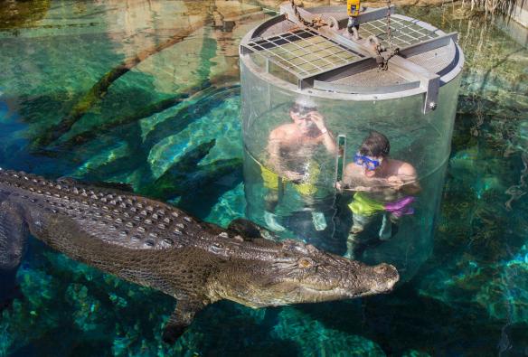 Crocosaurus Cove, Thành phố Darwin, Lãnh thổ phía Bắc © Virgin Australia