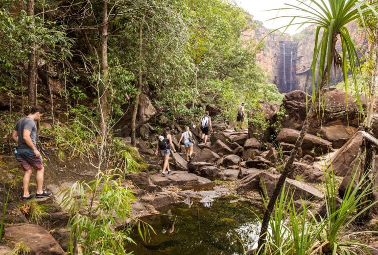 A group of people walking through a rainforest with a waterfall in the distance during a tour with Intrepid Travel Adventure Tours, Jim Jim Falls, Kakadu National Park, Northern Territory ©   Damien Raggatt 