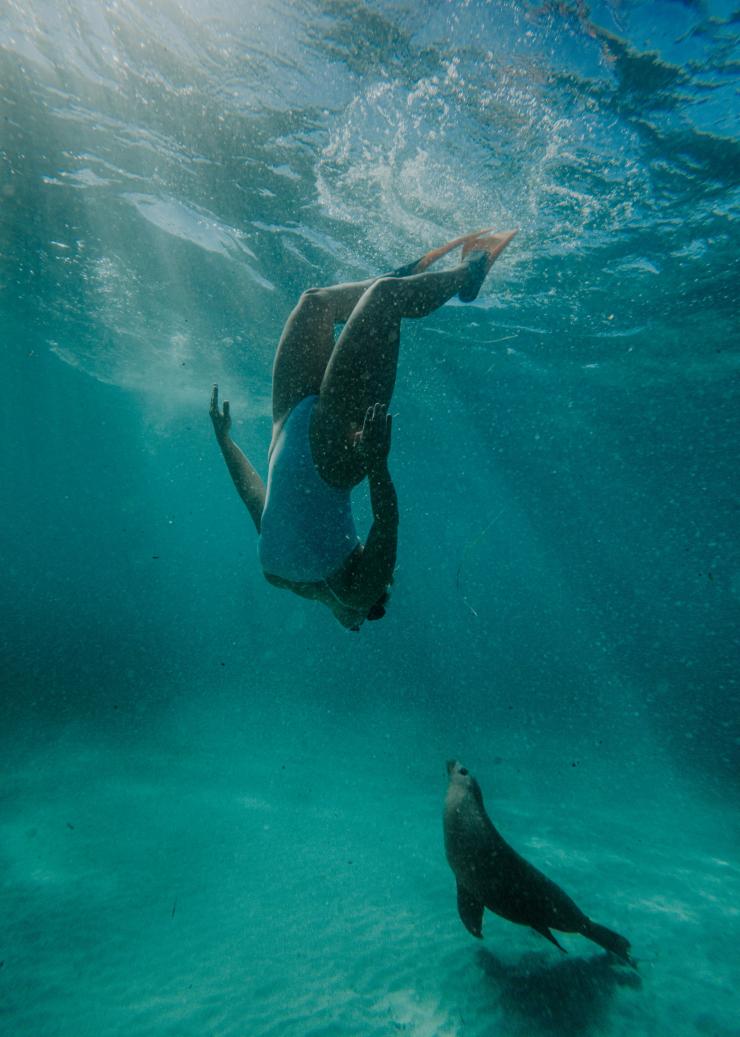 A woman snorkelling with a sea lion on a tour with Calypso Star Charters, Eyre Peninsula, South Australia © Jaxon Foale