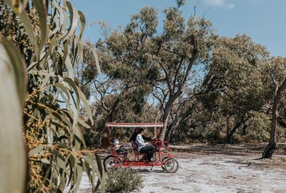 Tourists riding a four-wheeled bike through eucalyptus trees on Raymond Island, Victoria © everyday nicky 