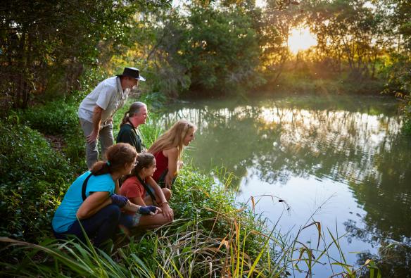 A small group of people looking into a pond on a tour with Wait-A-While Rainforest Tours, Cairns, Queensland © Tourism and Events Queensland