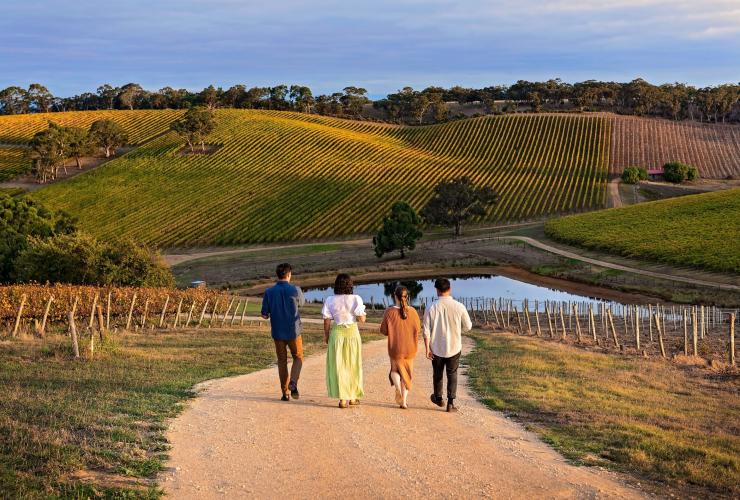 A group of four friends walk down a driveway between vineyards at Longview Vineyard, Adelaide Hills, South Australia © Tourism Australia